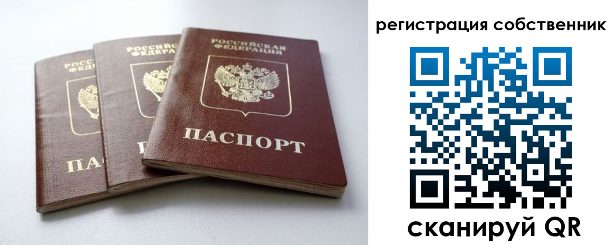 прописка для школы в Кудрово